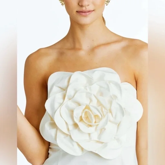 Mestiza New York Alba Cotton Sateen Strapless Flower Mini A-Line Dress SZ 8 NWT - Picture 16 of 16